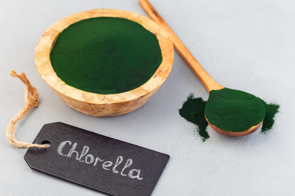 Chlorella Superfood in Powder, Horizontal